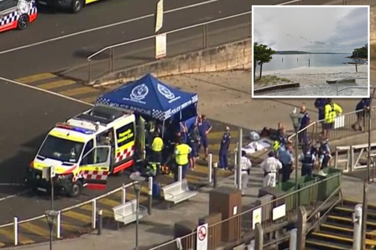 teen-in-critical-condition-after-being-mauled-by-shark-on-sydney-beach
