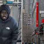 brazen-nyc-carjacker-swipes-vehicle-where-blind-senior,-72,-was-waiting-for-son:-‘he-didn’t-know-what-was-happening’