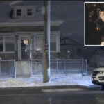 man,-59,-mauled-to-death-by-pit-bull-in-nyc-home:-cops