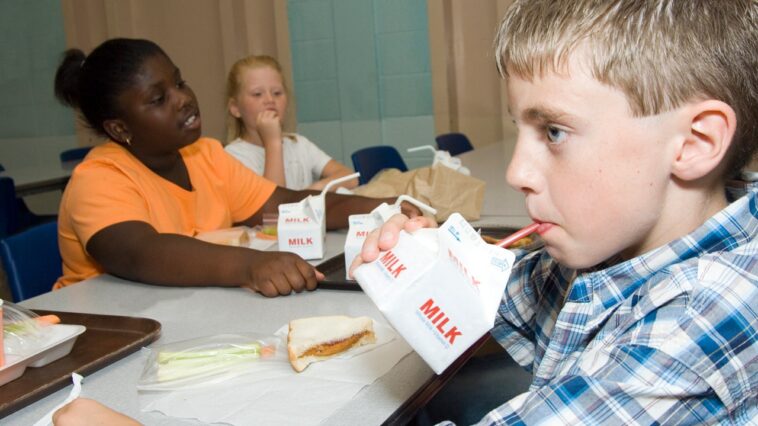 sec-brooke-rollins:-trump-brings-whole-milk-back-to-schools,-undoing-obama’s-war-on-real-food