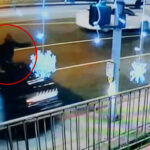 shocking-video-shows-pedestrian-getting-mowed-down-by-out-of-control-police-car