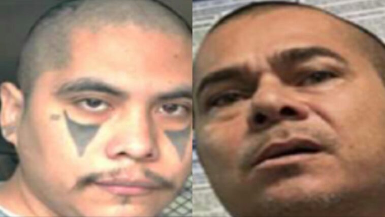 weekend-crackdown:-ice-nabs-dozens-of-violent-illegal-immigrants-in-nationwide-sweep