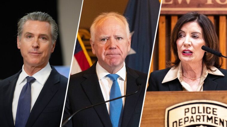 house-republicans-call-minnesota-fraud-probe-‘tip-of-the-iceberg’-as-more-blue-states-face-scrutiny