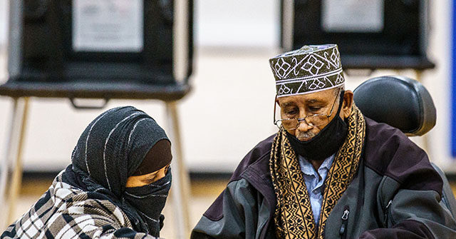 nolte:-gop-probes-how-democrats-use-illegals-and-refugees-to-rig-elections