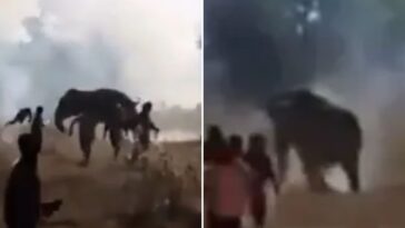 rogue-elephant-kills-nearly-two-dozen-people-in-10-day-rampage-through-eastern-india