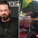 grammy-nominated-country-singer-lee-brice-begs-for-help-in-search-for-family’s-lost-pregnant-dog