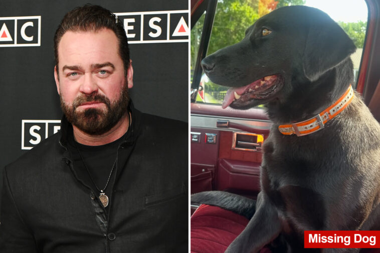 grammy-nominated-country-singer-lee-brice-begs-for-help-in-search-for-family’s-lost-pregnant-dog