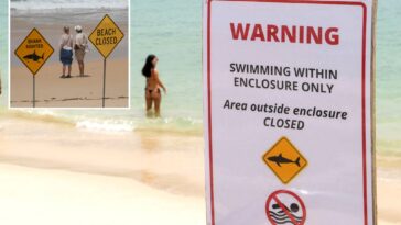 surfer-bitten-in-4th-shark-attack-off-australia’s-east-coast-in-3-days