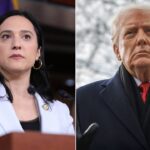 house-democrat-calls-trump-‘extremely-mentally-ill’-after-greenland-remarks,-urges-25th-amendment-removal