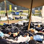 us-citizens-with-bad-cases-of-trump-derangement-syndrome-leave-the-country-and-end-up-on-filthy-dutch-refugee-camp