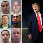7k-illegal-immigrant-gang-members-busted-in-first-year-of-trump’s-second-term:-‘make-america-safe-again’