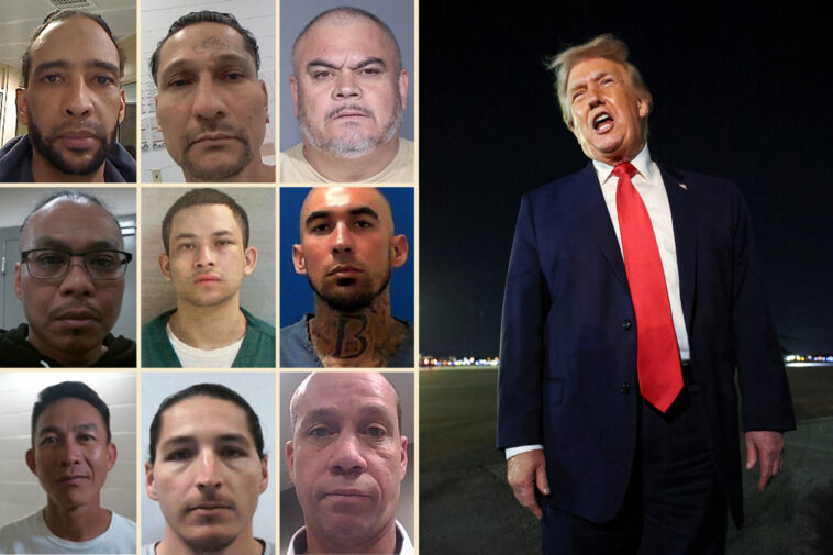 7k-illegal-immigrant-gang-members-busted-in-first-year-of-trump’s-second-term:-‘make-america-safe-again’