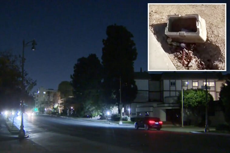 copper-wire-thieves-plunge-la’s-miracle-mile-into-darkness:-‘the-city’s-not-making-it-a-priority’