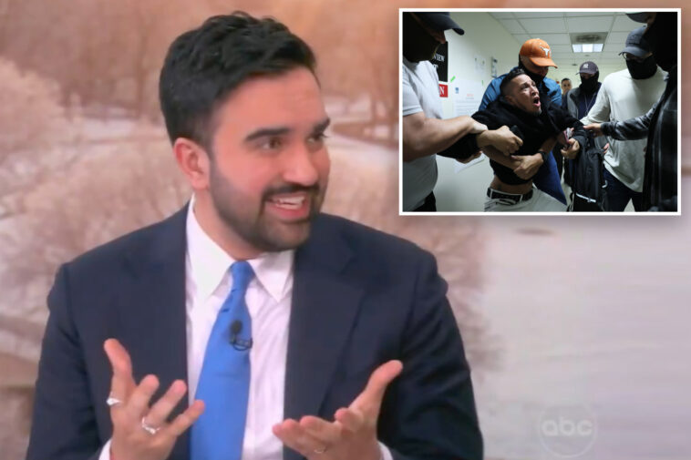 mamdani-calls-to-abolish-ice-in-gushing-interview-on-‘the-view’