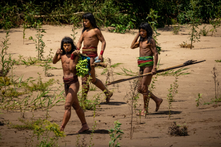 lethal-arrows,-trophy-heads-and-eating-monkeys:-inside-the-hundreds-of-‘uncontacted’-tribes-around-the-world
