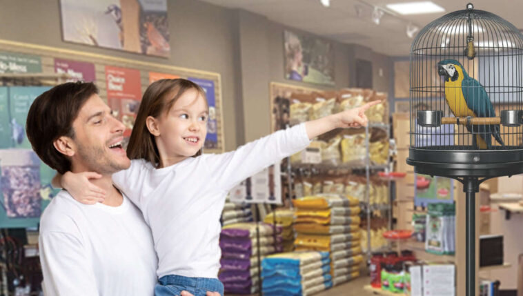 ‘daddy,-can-i-get-a-bird?’-says-daughter-to-dad-who’s-about-to-make-a-very-big-mistake