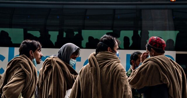 analysis:-85%-of-afghan-households-with-children-are-on-welfare-in-us.