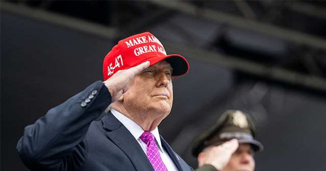 gorka:-maga-year-one