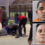 ‘bench-clearing-brawl’-breaks-out-at-florida-baseball-game-after-irate-parent-sucker-punches-umpire’s-father:-video