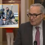 dems-warn-ice-crackdowns-will-make-illegal-immigrants-afraid-to-vote