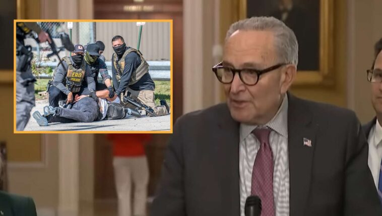 dems-warn-ice-crackdowns-will-make-illegal-immigrants-afraid-to-vote