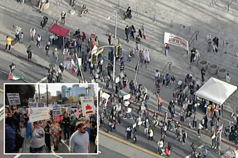 embarrassing-turn-out-of-anti-trump-protests-in-downtown-los-angeles-seen-from-above