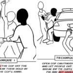 radical-minnesota-ice-watch-groups-instruct-‘white-folks’-to-break-black-detainees-out-of-cop-cars