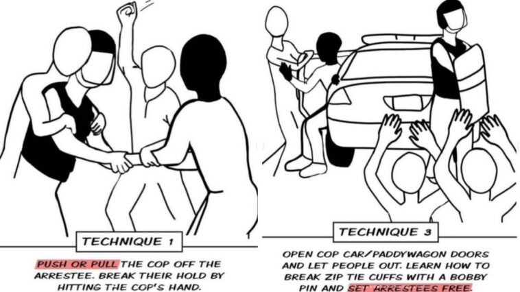 radical-minnesota-ice-watch-groups-instruct-‘white-folks’-to-break-black-detainees-out-of-cop-cars