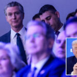 ‘frolicking’-gavin-newsom-ripped-by-white-house-as-he-whines-about-being-blocked-from-davos-clubhouse-event