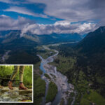 2-hikers-in-olympic-national-forest-killed-after-tree-falls-on-popular-trail