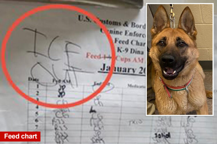 minneapolis-dog-kennel-worker-scribbles-anti-ice-message-on-border-patrol-k-9’s-feed-chart:-dhs