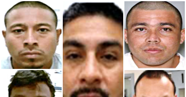 ice-agents-arrest-illegal-alien-sex-offenders,-burglars,-drug-traffickers-in-latest-nationwide-sweep