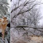 meteorologists-warn-of-‘exploding-trees’-as-brutal-cold-snap-expected-to-usher-in-subzero-temps