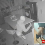 homeowner-spooks-off-burglars-with-gun-during-‘scary’-nyc-home-invasion