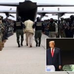 mexico’s-president-says-it-was-‘sovereign-decision’-to-send-cartel-members-to-us