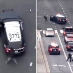 california-carjacker-mowed-down-and-shot-by-cops-in-wild-video
