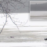 heroic-father-dies-saving-his-son,-6,-after-snowmobile-falls-through-icy-pond-in-upstate-ny