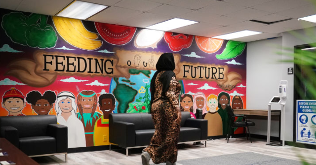 virginia-democrat-moves-to-squash-oversight-of-nonprofits-after-somali-fraud-scandal