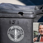 maker-of-nyc’s-hard-to-find-trash-bins-leaves-town-as-locals-scramble-under-new-law