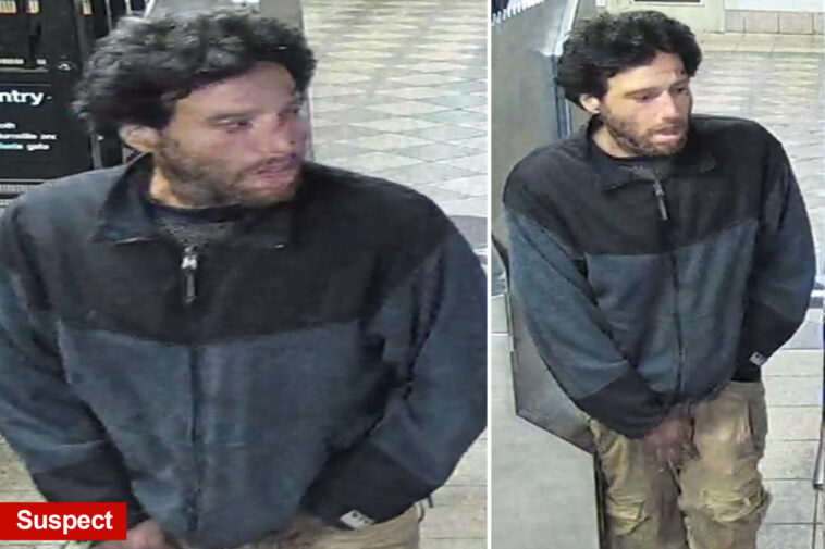 wacko-with-rap-sheet-busted-for-randomly-shoving-man,-35,-onto-nyc-subway-tracks