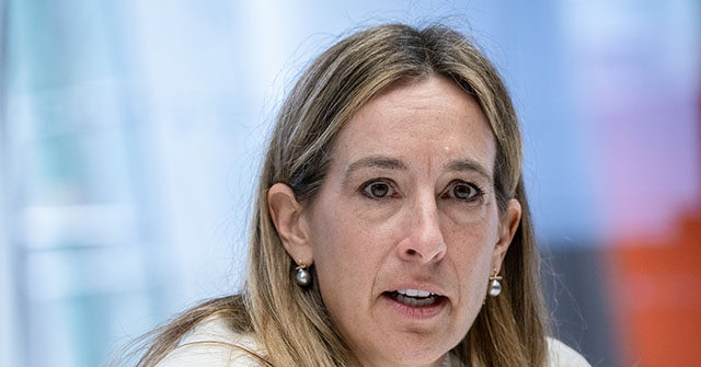 sherrill:-‘don’t-see-what-the-point-of’-having-working-relationship-with-trump-is