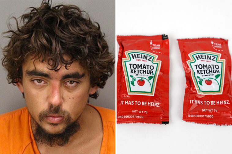 florida-man-charged-with-felony-after-allegedly-hurling-ketchup-packet-at-good-samaritan