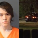 brother-killed-after-teen-becomes-‘enraged’-over-video-game,-stabs-sibling:-police