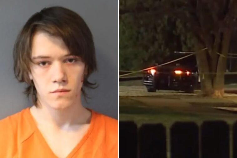 brother-killed-after-teen-becomes-‘enraged’-over-video-game,-stabs-sibling:-police