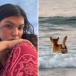 bombshell-details-found-in-autopsy-results-of-canadian-teen-found-surrounded-by-dingoes