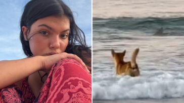 bombshell-details-found-in-autopsy-results-of-canadian-teen-found-surrounded-by-dingoes