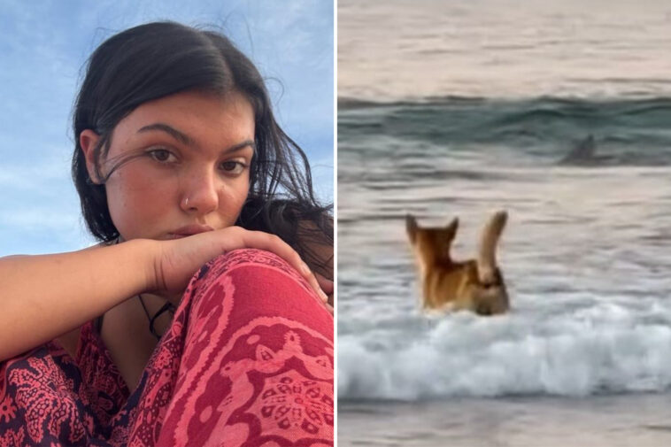 bombshell-details-found-in-autopsy-results-of-canadian-teen-found-surrounded-by-dingoes