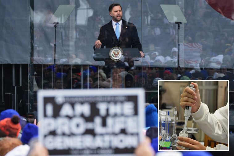 jd-vance-celebrates-wife’s-pregnancy-at-march-for-life-after-hhs-bars-tissue-from-elective-abortions-in-research
