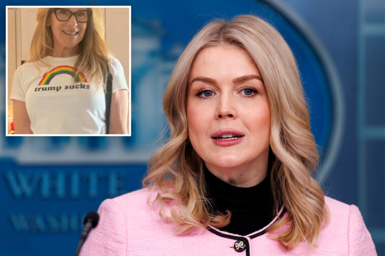 unhinged-florida-nurse-fired-after-foul-tiktok-rant-directed-towards-karoline-leavitt-goes-viral