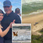 ghoulish-trolls-are-making-the-same-sick-joke-about-tourist-found-savaged-by-dingoes-on-aussie-beach